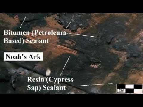 https://www.youtube.com/@a1plus https://www.youtube.com/@a1plus